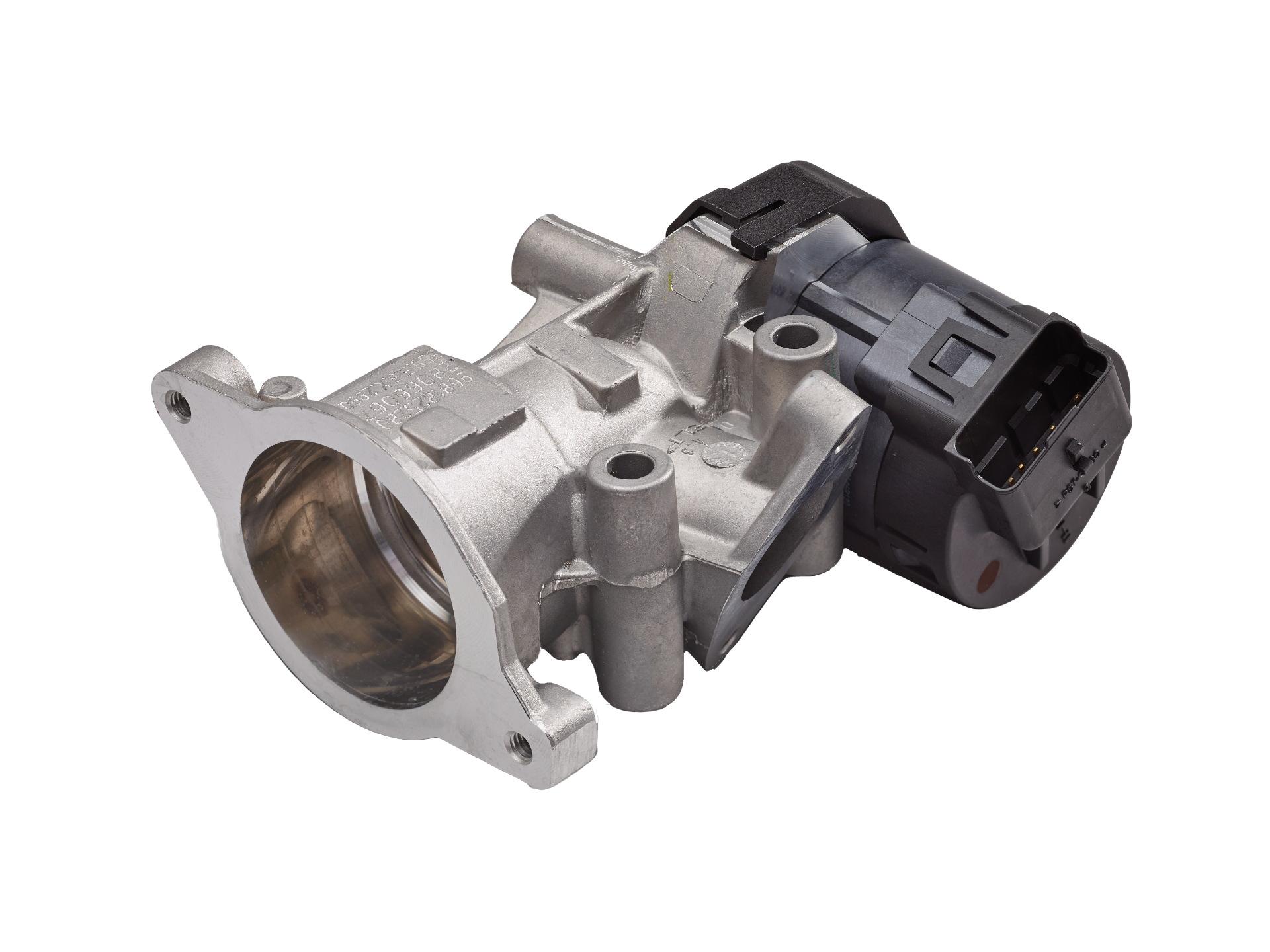 EGR Valves