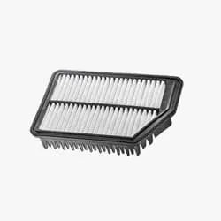 Air Filter (SKODA Octavia A5)_161317 FILTRON