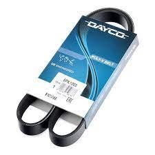 V Ribbed Belt Dayco