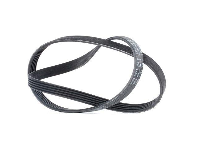 Dynamo Serpentine Timing Belt Fiat - Opel - Other Brands