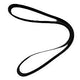 Dynamo Serpentine Timing Belt Alfa Romeo - Fiat - Honda - Nissan