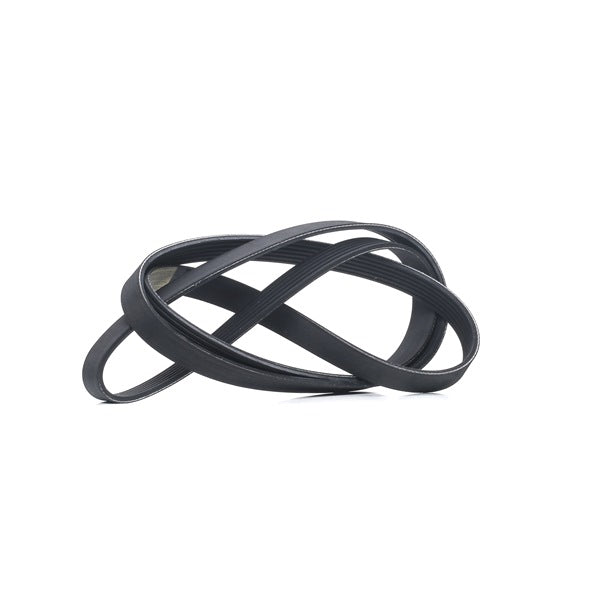 Serpentine Dynamo Belt Compatible With Audi - BMW - Citroen - Other Brands