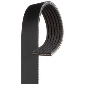 Serpentine Timing Belt Set Kia - Mazda
