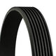 Serpentine Belt Nissan - Toyota - Honda