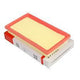 FILTORQ Automatic Triangle Air Filter Renault