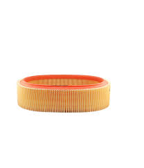 Air Filter FUJI For Renault