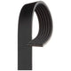 GTS Serpentine Belt Alfa Romeo - Fiat - Other Brands