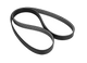Power Steering Belt