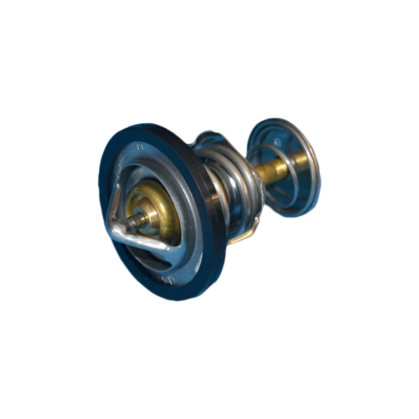 Thermostat Original Jetour X70
